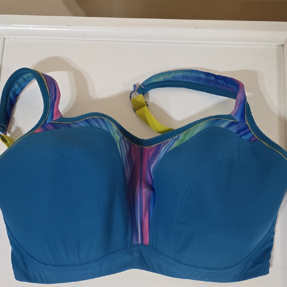 Panache Teal and Multicolor Women's Bra